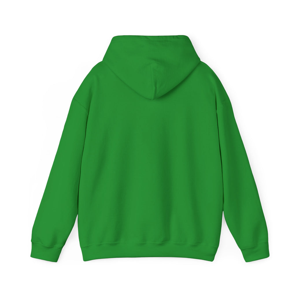 The Mountains Are Calling Hoodie | Hiking Gift Hooded Sweatshirt for Nature Lovers