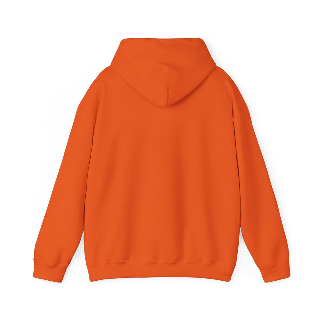The Mountains Are Calling Hoodie | Hiking Gift Hooded Sweatshirt for Nature Lovers